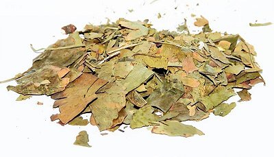 CHA GINKO BILOBA FOLHA KG