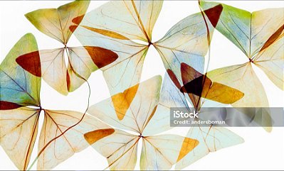 Quadro Decorativo Abstrato 0254