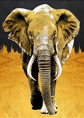 Quadro Decorativo Artístico 0483