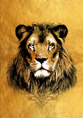 Quadro Decorativo Artístico 0486