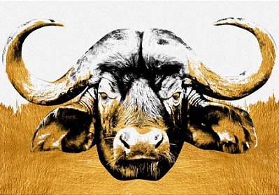 Quadro Decorativo Artístico 0499