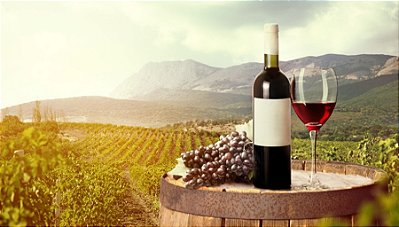 Quadro Decorativo Bebidas 0804