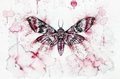 Quadro Decorativo Borboleta - Mariposa 0870