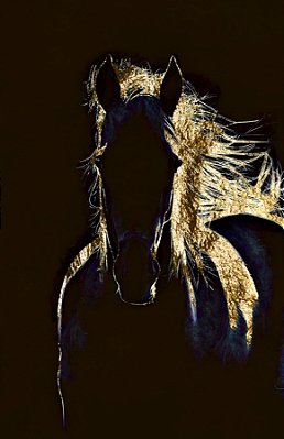 Quadro Decorativo Cavalos 1177