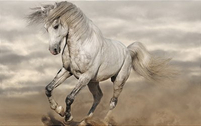 Quadro Decorativo Cavalos 1251