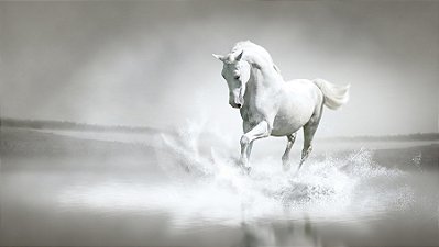 Quadro Decorativo Cavalos 1252