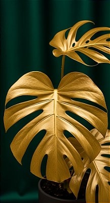 Quadro Decorativo Folhagens de Plantas 1448
