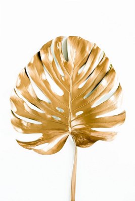 Quadro Decorativo Folhagens de Plantas 1509