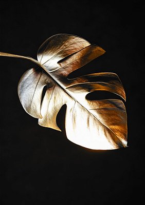 Quadro Decorativo Folhagens de Plantas 1601