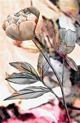 Quadro Decorativo Flores 1811