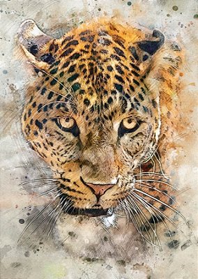Quadro Decorativo Leopardos 2271