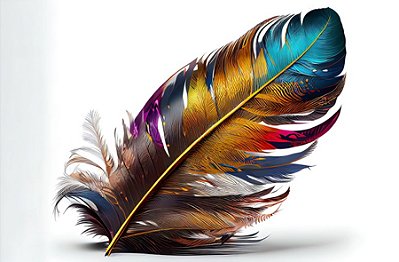 Quadro Decorativo Penas 3645
