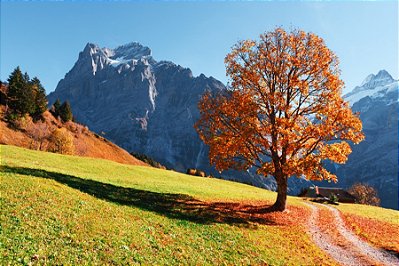 Quadro Decorativo Paisagens 3792
