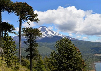 Quadro Decorativo Paisagens 3863