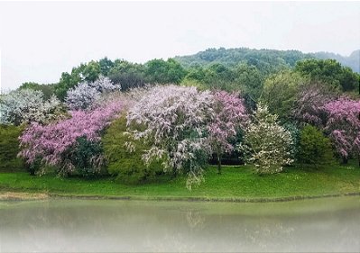 Quadro Decorativo Paisagens 3876