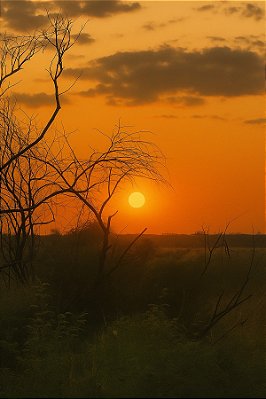 Quadro Decorativo Paisagens 3894