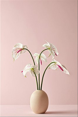 Quadro Decorativo Vasos 4142