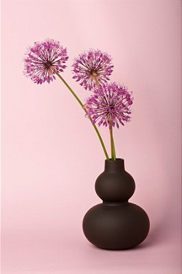 Quadro Decorativo Vasos 4231