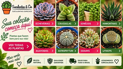 Cactos , suculentas, Lithops