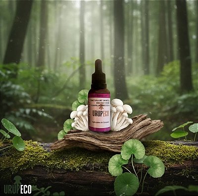 Tintura de Shimeji Branco com centella asiatica 30ml