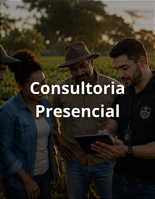 Consultoria