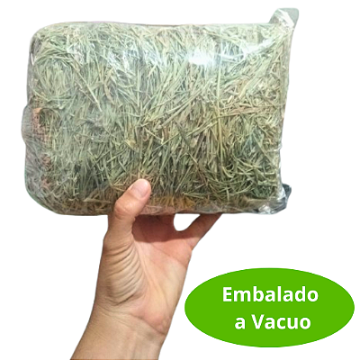 Feno Tifton 2kg Verdinho – Nutrição Completa para Cavalo, Coelho e Roedores - Sem Poeira, Rico em Fibras e Super Cheiroso