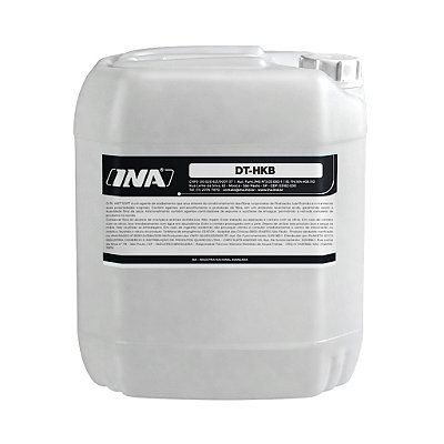 INA DT HKB 20L Pro Detergente para Tapetes