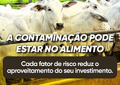 Alimento
