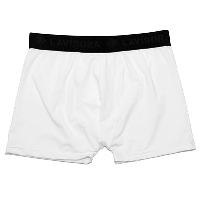 Cueca Boxer Microfibra Elástico LaVibora - Branca