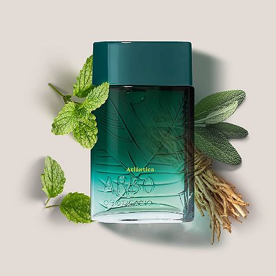 Arbo Atlântica Desodorante Colônia 100Ml