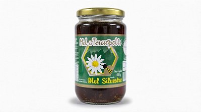 pote de Mel de Teresópolis - Mel Silvestre (450g)