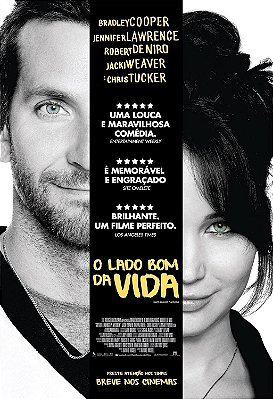 O Lado Bom Da Vida - USADO