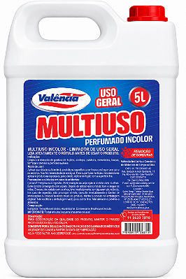 MULTIUSO INCOLOR 5L - VALÊNCIA
