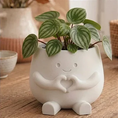 Cachepot Decorativo