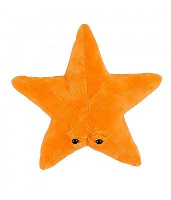 Estrela Do Mar Pelúcia Laranja Com Olhos 23cm