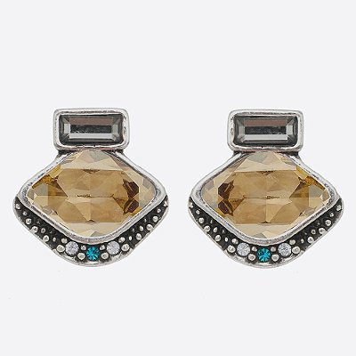 Brinco Design Golden Básica Prata