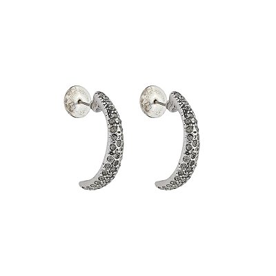 Brinco Argola Veredas Prata