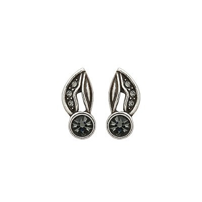 Brinco Delicado Aruna Prata