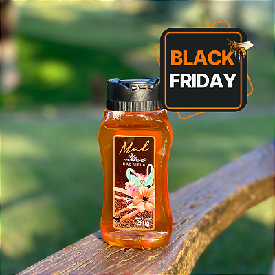 Mel micro lote Gabriela 280 gramas