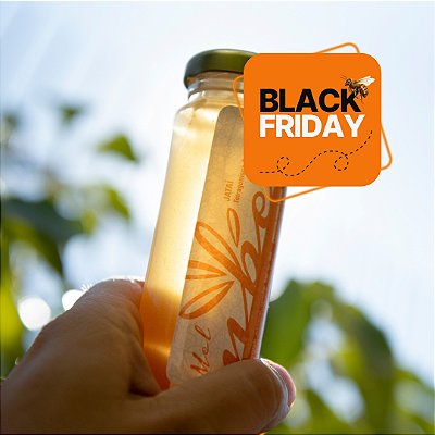 Mel de Jataí (140g)