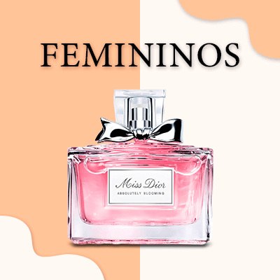 Perfumes Femininos 