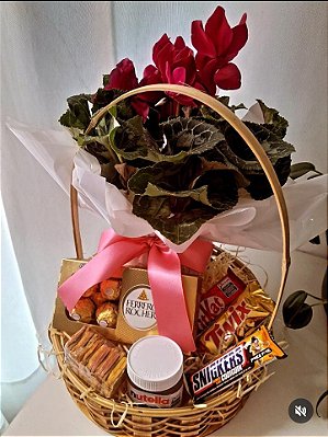 Ciclamen & Chocolate