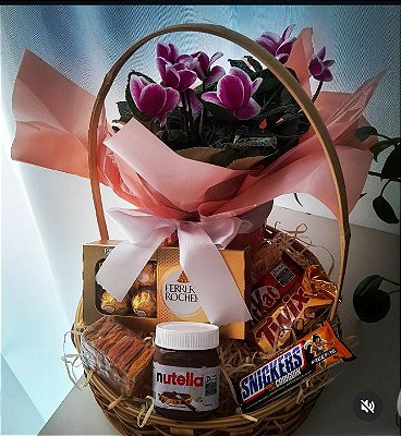 Ciclamen & Chocolate 02