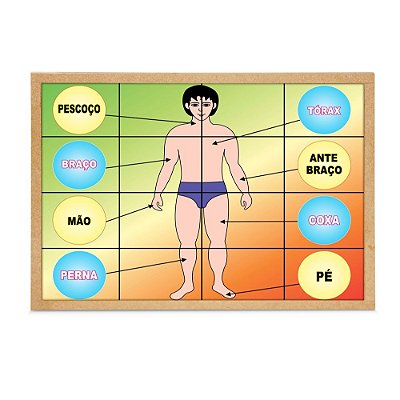 Brinquedo Educativo Quebra Cabeça Corpo Humano Base Mdf Com 16 Peças