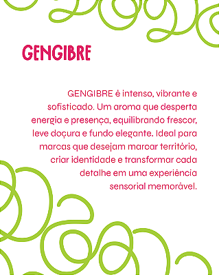 GENGIBRE 100 ml - MEGA Perfume para Artesanato e Papelaria - Perfume para Papel