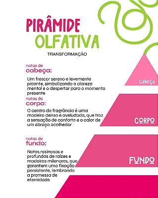 TRANSFORMAÇÃO - Difusor de Varetas para Ambiente 250 ml com 10 varetas