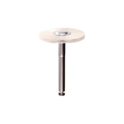 Escova para Polimento de Superfície Praxis Shine - TDV