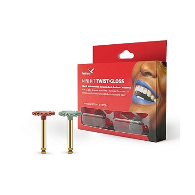 Polidores Diamantados Mini Kit Twist Gloss - American Burrs