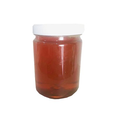 Mel Puro Produto Natural 250mL 300g Pote Artesanal