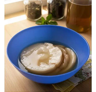 Scoby De Kombucha - Probióticos Unidade